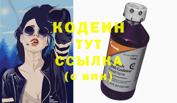 сатива Краснослободск