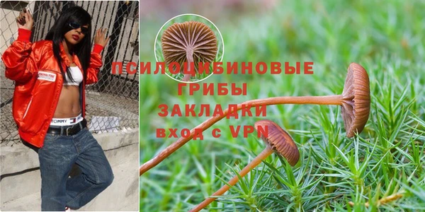 jwh Медногорск