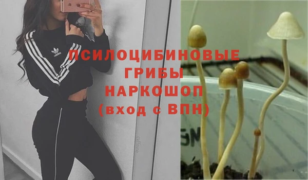 эйфоретик Кулебаки
