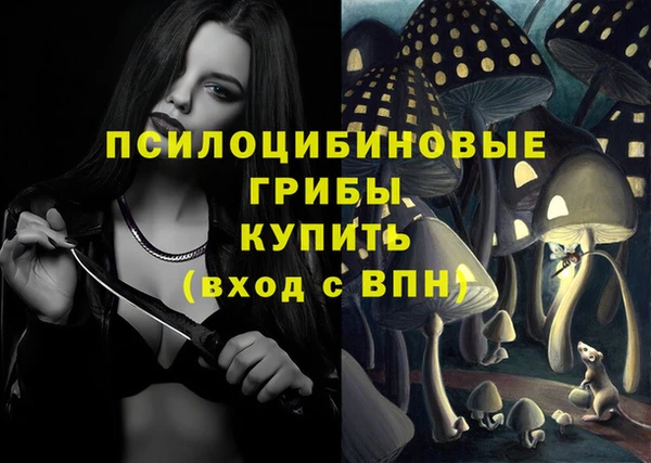 прущая мука Рославль