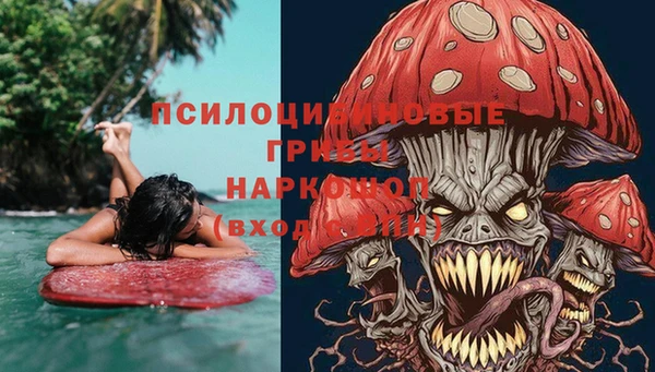 дживик Липки
